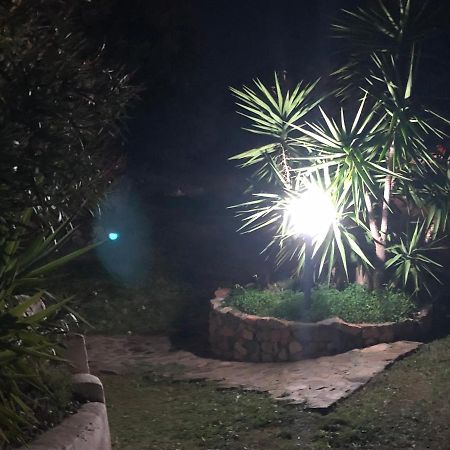 Sarrala Διαμέρισμα Tertenìa Εξωτερικό φωτογραφία